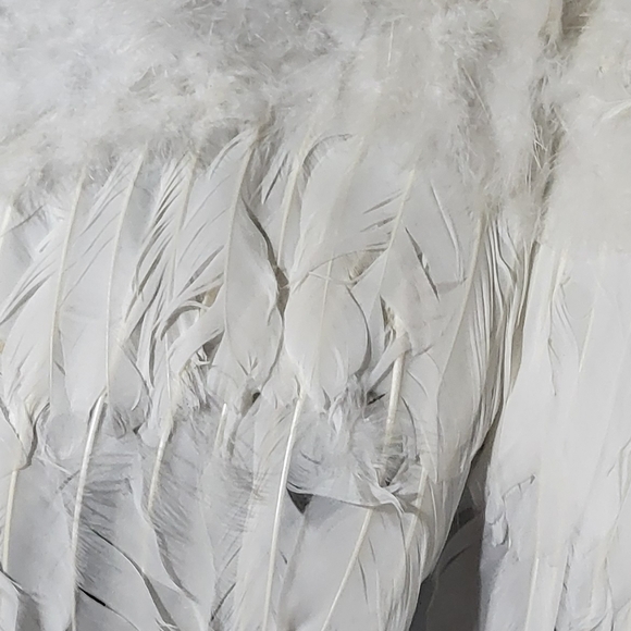 🎃 Feather Angel Wings Costume Accessories Halloween with Halo headband cosplay - Picture 2 of 11